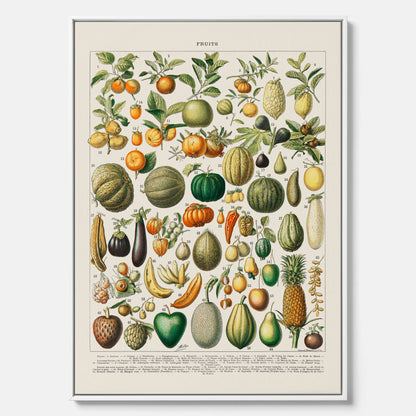 Kökstavla i canvas med Frukt och grönsaker Plansch – Posters till köket, Affisch med en vintageillustration, köksposter, tavla till kök