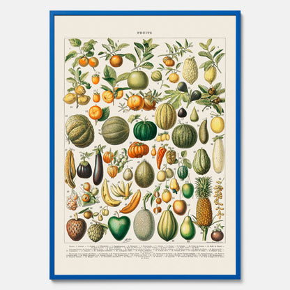 Kökstavla med Frukt och grönsaker Plansch – Posters till köket, Affisch med en vintageillustration, köksposter, tavla till kök