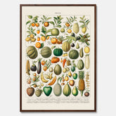 Kökstavla med Frukt och grönsaker Plansch – Posters till köket, Affisch med en vintageillustration, köksposter, tavla till kök