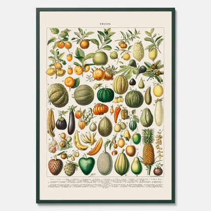 Kökstavla med Frukt och grönsaker Plansch – Posters till köket, Affisch med en vintageillustration, köksposter, tavla till kök