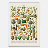 Kökstavla med Frukt och grönsaker Plansch – Posters till köket, Affisch med en vintageillustration, köksposter, tavla till kök