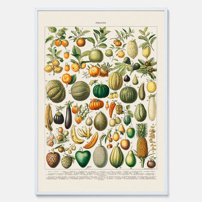 Kökstavla med Frukt och grönsaker Plansch – Posters till köket, Affisch med en vintageillustration, köksposter, tavla till kök