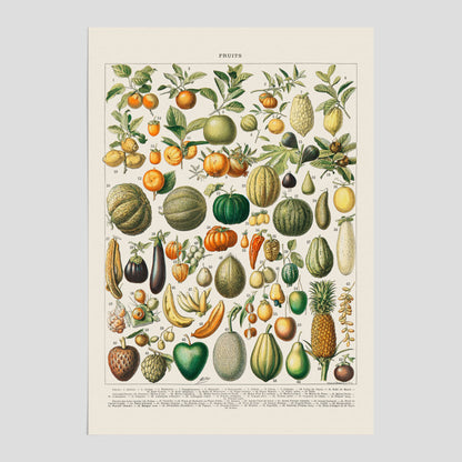 Kökstavla med Frukt och grönsaker Plansch – Posters till köket, Affisch med en vintageillustration, köksposter, tavla till kök