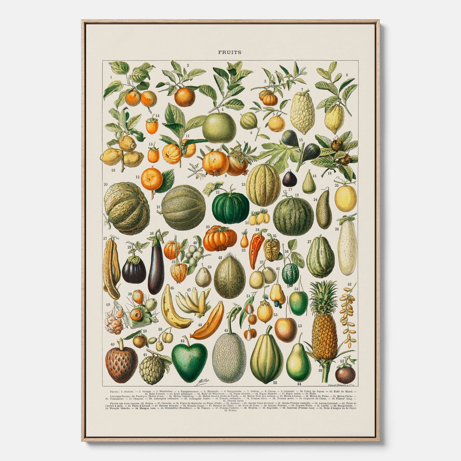 Kökstavla i canvas med Frukt och grönsaker Plansch – Posters till köket, Affisch med en vintageillustration, köksposter, tavla till kök