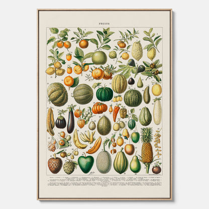 Kökstavla i canvas med Frukt och grönsaker Plansch – Posters till köket, Affisch med en vintageillustration, köksposter, tavla till kök