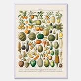 Kökstavla med Frukt och grönsaker Plansch – Posters till köket, Affisch med en vintageillustration, köksposter, tavla till kök