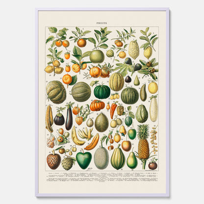 Kökstavla med Frukt och grönsaker Plansch – Posters till köket, Affisch med en vintageillustration, köksposter, tavla till kök