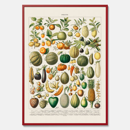 Kökstavla med Frukt och grönsaker Plansch – Posters till köket, Affisch med en vintageillustration, köksposter, tavla till kök