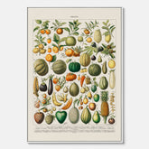Kökstavla i canvas med Frukt och grönsaker Plansch – Posters till köket, Affisch med en vintageillustration, köksposter, tavla till kök