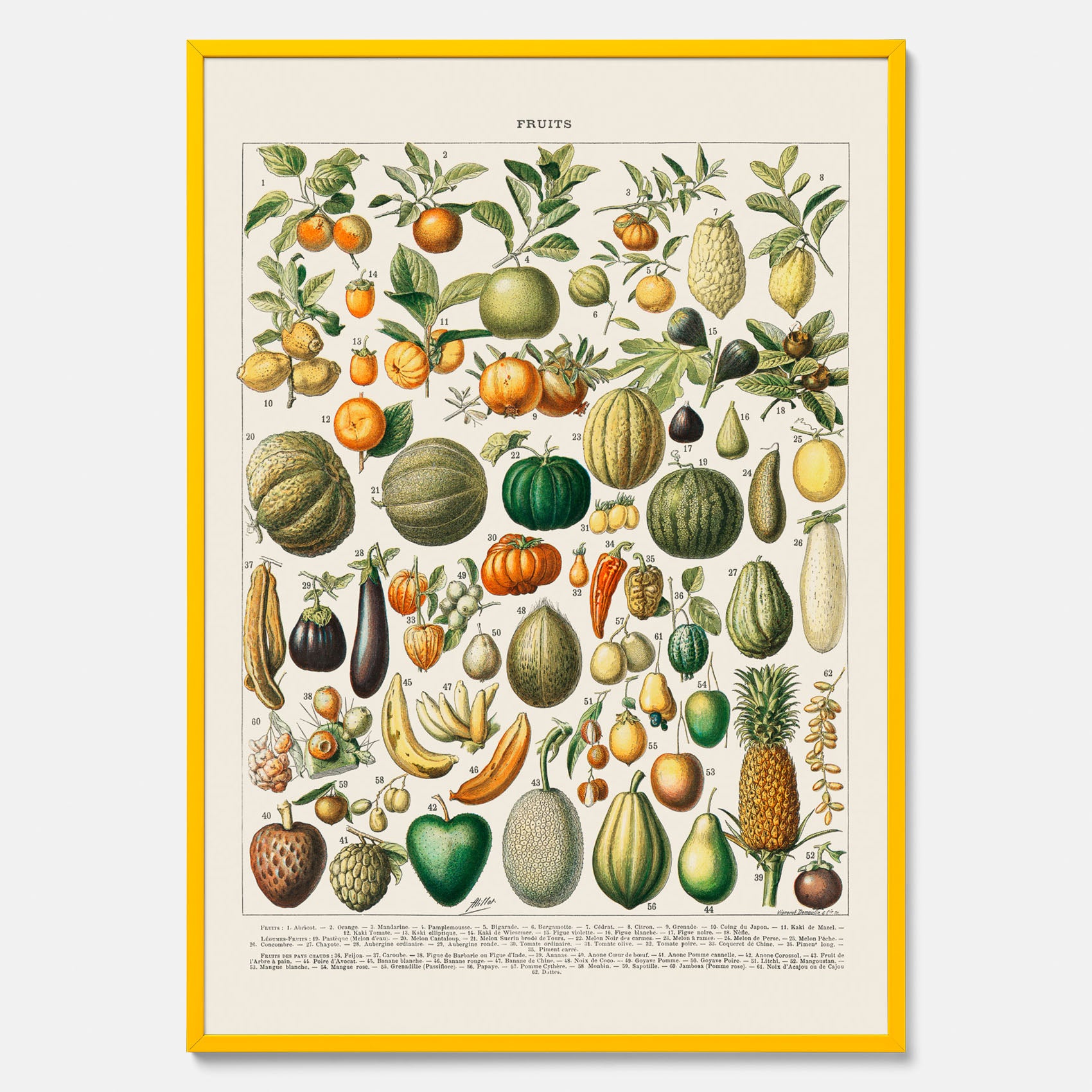 Kökstavla med Frukt och grönsaker Plansch – Posters till köket, Affisch med en vintageillustration, köksposter, tavla till kök