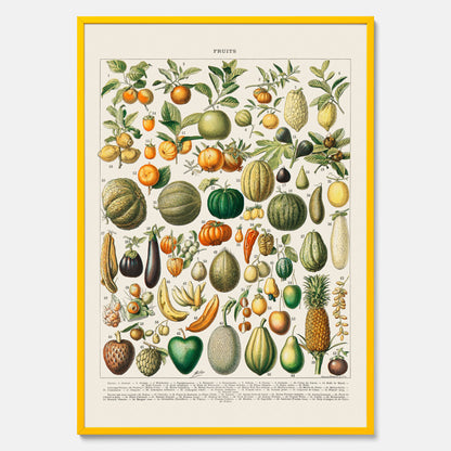 Kökstavla med Frukt och grönsaker Plansch – Posters till köket, Affisch med en vintageillustration, köksposter, tavla till kök