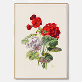 En botanisk vintagecanvas med en illustration av en geraniumväxt med röda och vita blommor ritad av Charles Ryan
