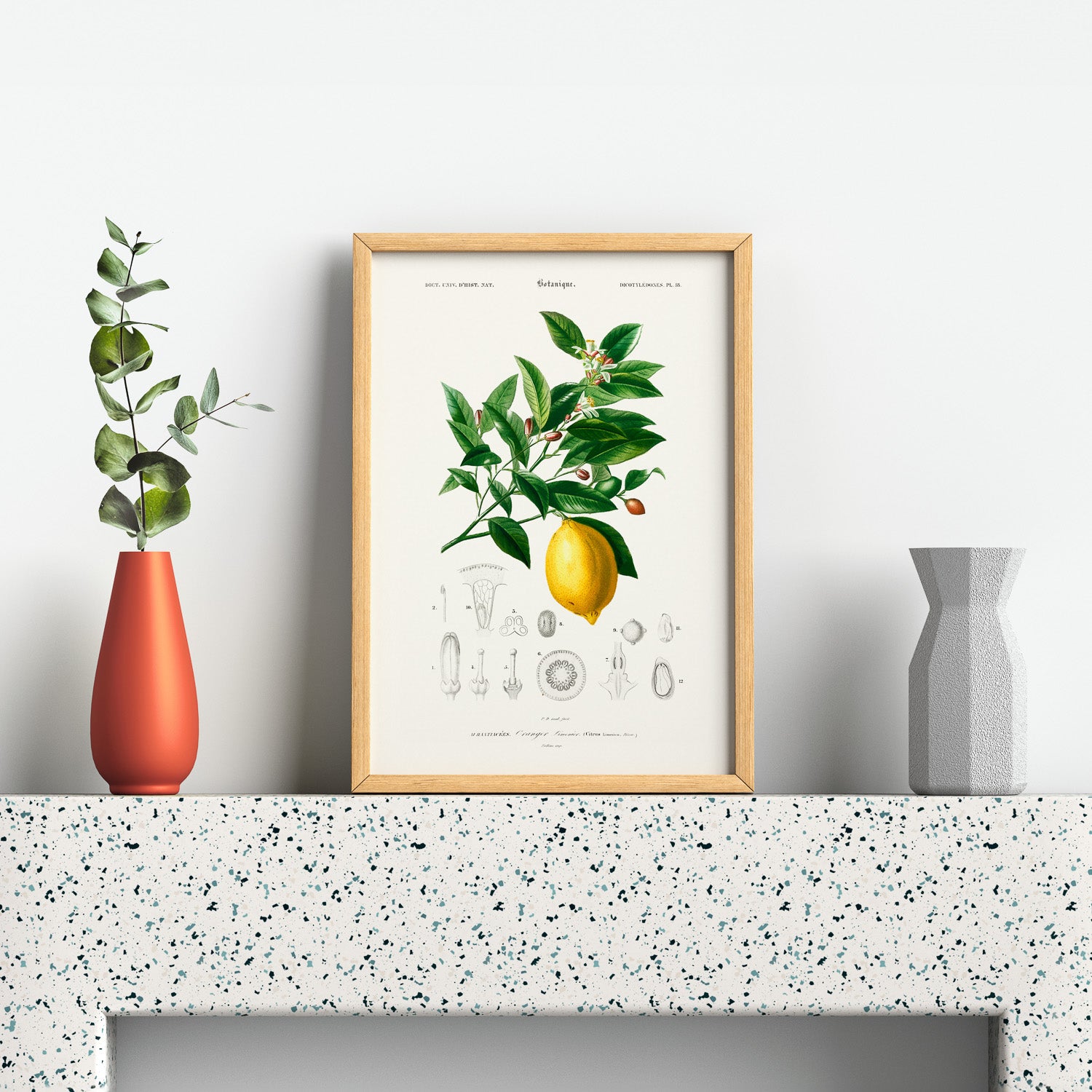 Kökstavla med Citron poster – Plansch med frukt, fruktposter, citrontavla, tavla med citroner, köksposter, poster till kök