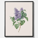 Canvasprint av en lila syren, ritad av konstnären Maria Geertruida Barbiers-Snabilié