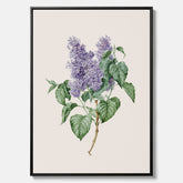 Canvasprint av en lila syren, ritad av konstnären Maria Geertruida Barbiers-Snabilié