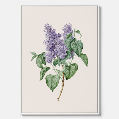 Canvasprint av en lila syren, ritad av konstnären Maria Geertruida Barbiers-Snabilié