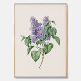Canvasprint av en lila syren, ritad av konstnären Maria Geertruida Barbiers-Snabilié