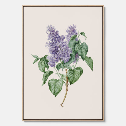 Canvasprint av en lila syren, ritad av konstnären Maria Geertruida Barbiers-Snabilié