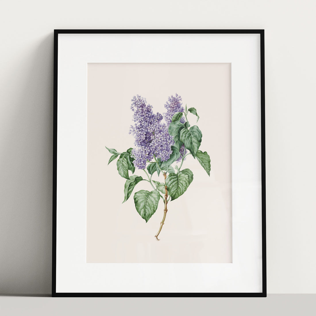 Poster av en lila syren, ritad av konstnären Maria Geertruida Barbiers-Snabilié