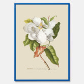 Tavla med Magnolia poster – Botanisk tavla och poster