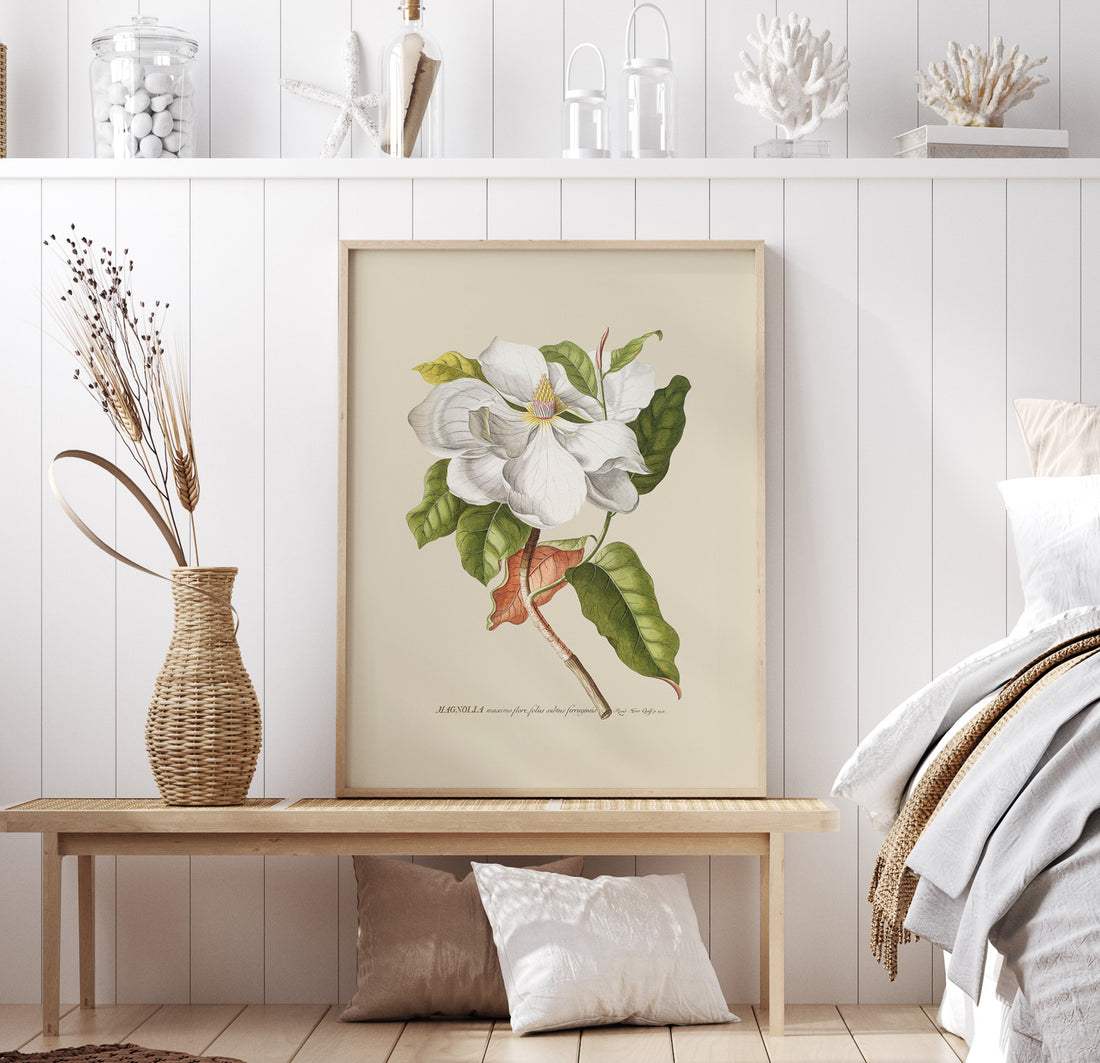 Tavla med Magnolia poster – Botanisk tavla och poster