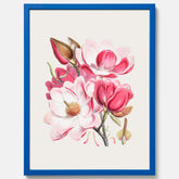 Magnolia Campbellii poster, botanisk vintage-tavla