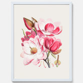 Magnolia Campbellii poster, botanisk vintage-tavla