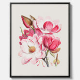 Magnolia Campbellii canvas, botanisk vintage-tavla