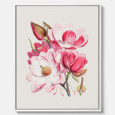 Magnolia Campbellii canvas, botanisk vintage-tavla