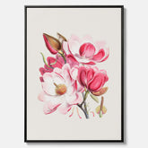 Magnolia Campbellii canvas, botanisk vintage-tavla
