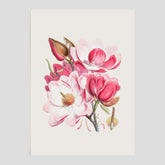 Magnolia Campbellii poster, botanisk vintage-tavla