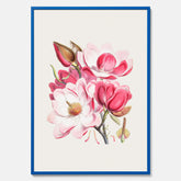 Magnolia Campbellii poster, botanisk vintage-tavla