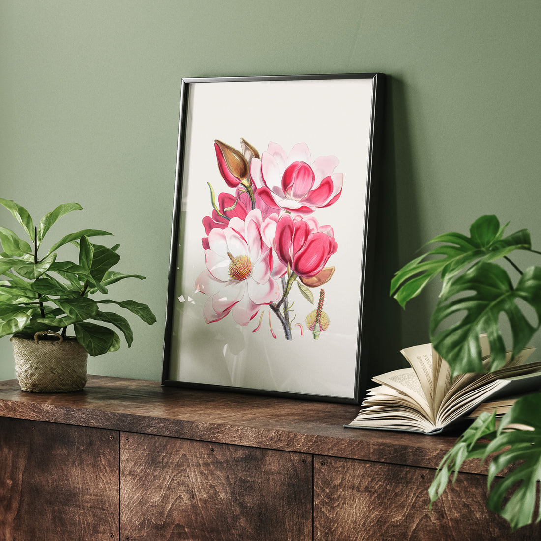 Magnolia Campbellii poster, botanisk vintage-tavla