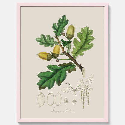 Ekollon Poster – Kökstavla, snygg plansch med ett vintagemotiv, tavla till kök, köksposter