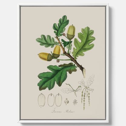 Ekollon canvas – Kökstavla, snygg plansch med ett vintagemotiv, tavla till kök, köksposter