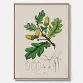 Ekollon canvas – Kökstavla, snygg plansch med ett vintagemotiv, tavla till kök, köksposter