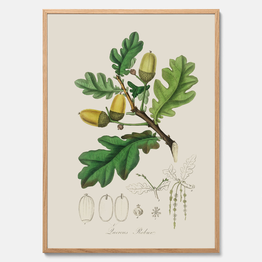 Ekollon Poster – Kökstavla, snygg plansch med ett vintagemotiv, tavla till kök, köksposter