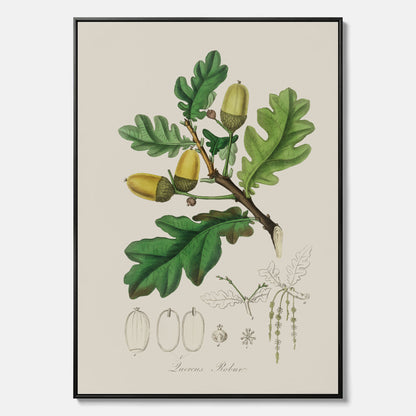 Ekollon canvas – Kökstavla, snygg plansch med ett vintagemotiv, tavla till kök, köksposter