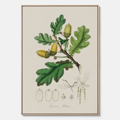 Ekollon canvas – Kökstavla, snygg plansch med ett vintagemotiv, tavla till kök, köksposter