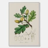 Ekollon canvas – Kökstavla, snygg plansch med ett vintagemotiv, tavla till kök, köksposter