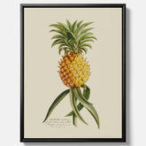 Kökstavla i canvas med en Ananas – Plansch till köket, Skolposter, köksposter, tavla till kök, poster till kök