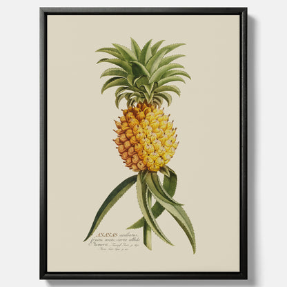 Kökstavla i canvas med en Ananas – Plansch till köket, Skolposter, köksposter, tavla till kök, poster till kök