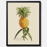 Kökstavla med en Ananas Poster – Plansch till köket, Skolposter, köksposter, tavla till kök, poster till kök