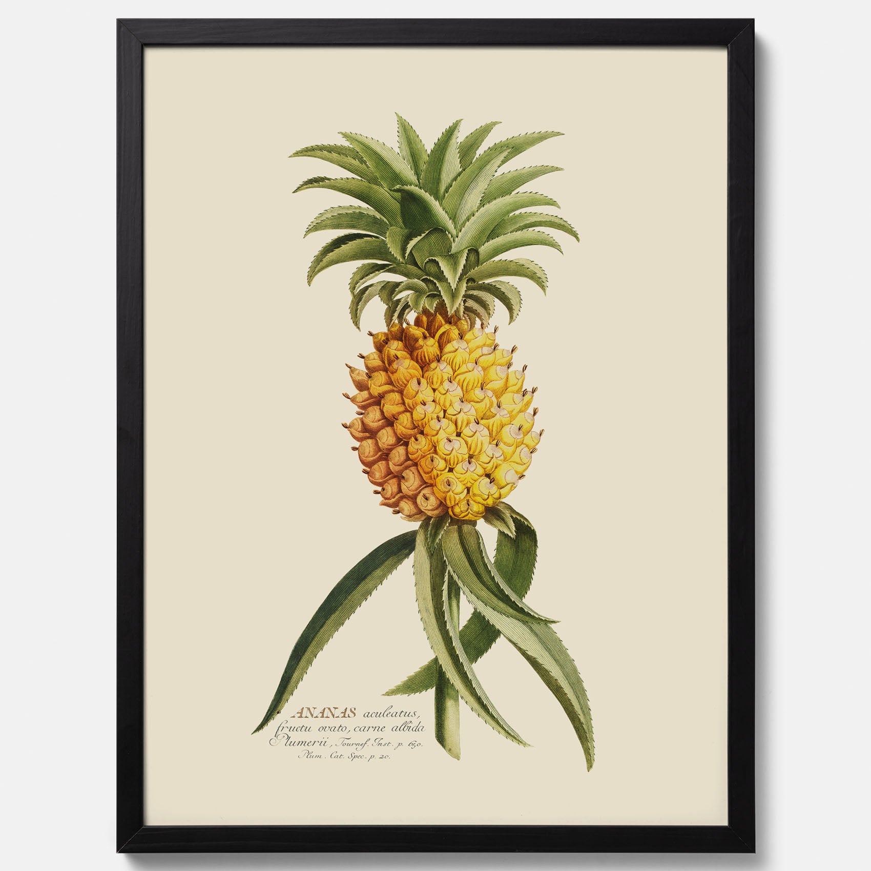 Kökstavla med en Ananas Poster – Plansch till köket, Skolposter, köksposter, tavla till kök, poster till kök