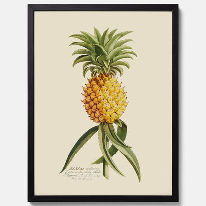 Kökstavla med en Ananas Poster – Plansch till köket, Skolposter, köksposter, tavla till kök, poster till kök