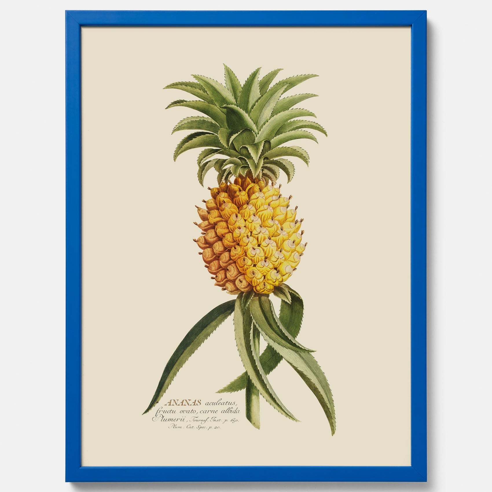 Kökstavla med en Ananas Poster – Plansch till köket, Skolposter, köksposter, tavla till kök, poster till kök