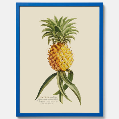 Kökstavla med en Ananas Poster – Plansch till köket, Skolposter, köksposter, tavla till kök, poster till kök