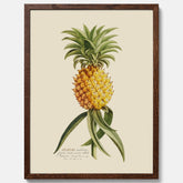 Kökstavla med en Ananas Poster – Plansch till köket, Skolposter, köksposter, tavla till kök, poster till kök