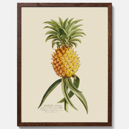 Kökstavla med en Ananas Poster – Plansch till köket, Skolposter, köksposter, tavla till kök, poster till kök