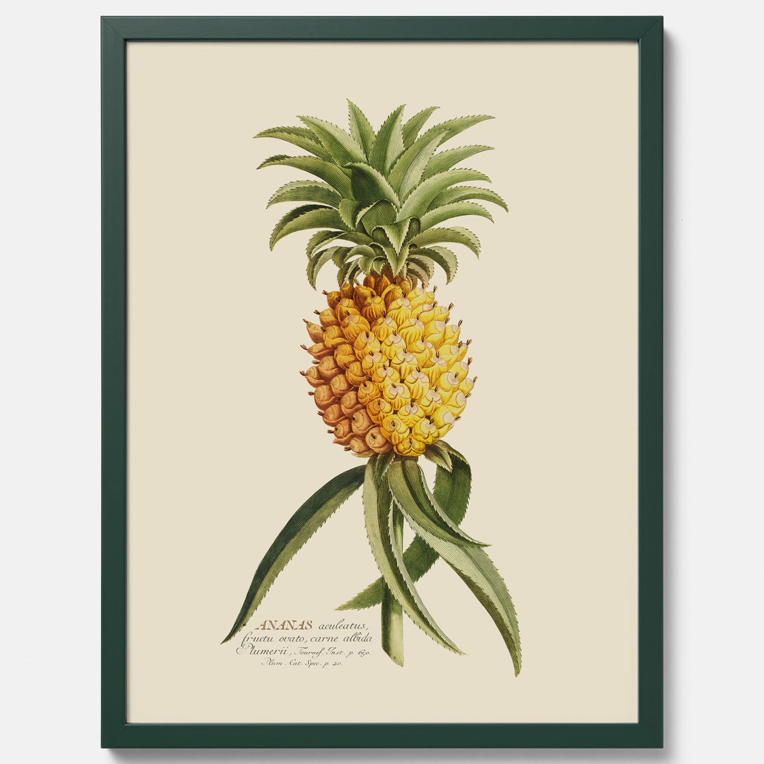 Kökstavla med en Ananas Poster – Plansch till köket, Skolposter, köksposter, tavla till kök, poster till kök